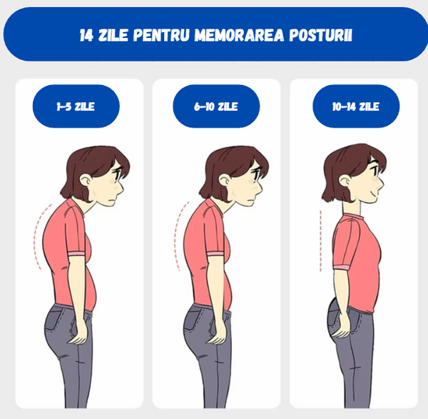 Screenshot 2026-02-25 094848.png